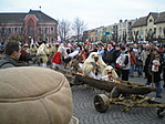 az öreg Busó teknőjében