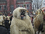 a legmagasabb Busó