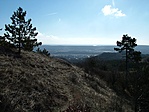 Kilátás Budaörs felé