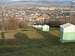 Kálvária
