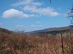 Kilátás