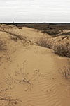 A sivatag határán