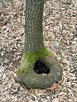 ..und Herren