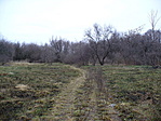 A puszta télen