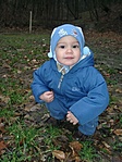 Babó