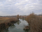 Élő-Zagyva
