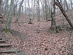 Út a barlanghoz