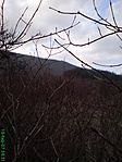 Környezet