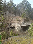 Bunker more