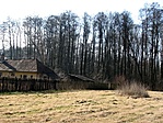 A tanya