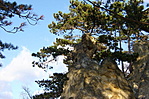Sorrento sziklái