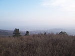 Panoráma