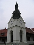 toronyóra