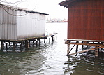 Lábak
