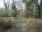 A park