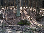 Szilágyi Bernát-forrás