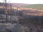 Ide kerültünk
