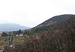 Az arborétum