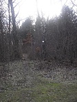 "M"