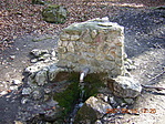 Forrás