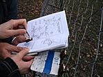 Bélyegzés