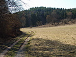Derenki út