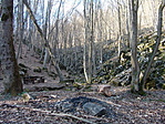 Erdei pihenő