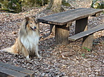 Vándor