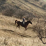 Idill