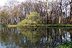 A Répcementi H.E. horgásztava