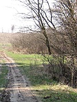 Úton