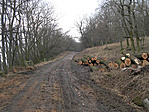 Betonút