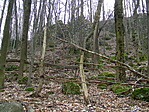 Bugyihó