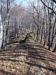 Közeledve
