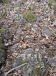 Igy termeszetes