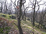 A ládánál