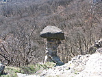 kőgomba