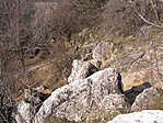 Felülről
