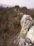 A genrinc