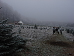 2006_12_16