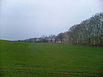 Zöldellő határ