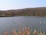 a láda felé