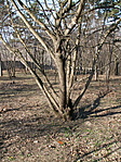 2. helyszín