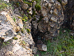 A rejtek