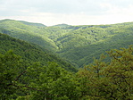 nyugi