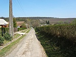 Terecseny