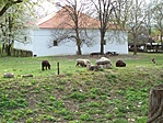 kissebb állatkert