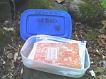 GCDKO
