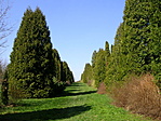 az arborétum