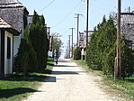 Biciklis